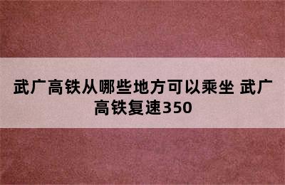 武广高铁从哪些地方可以乘坐 武广高铁复速350